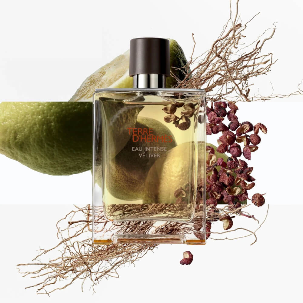 herme-terre-dhermes-eau-intense-vetiver-eau-de-parfum-Main.jpg
